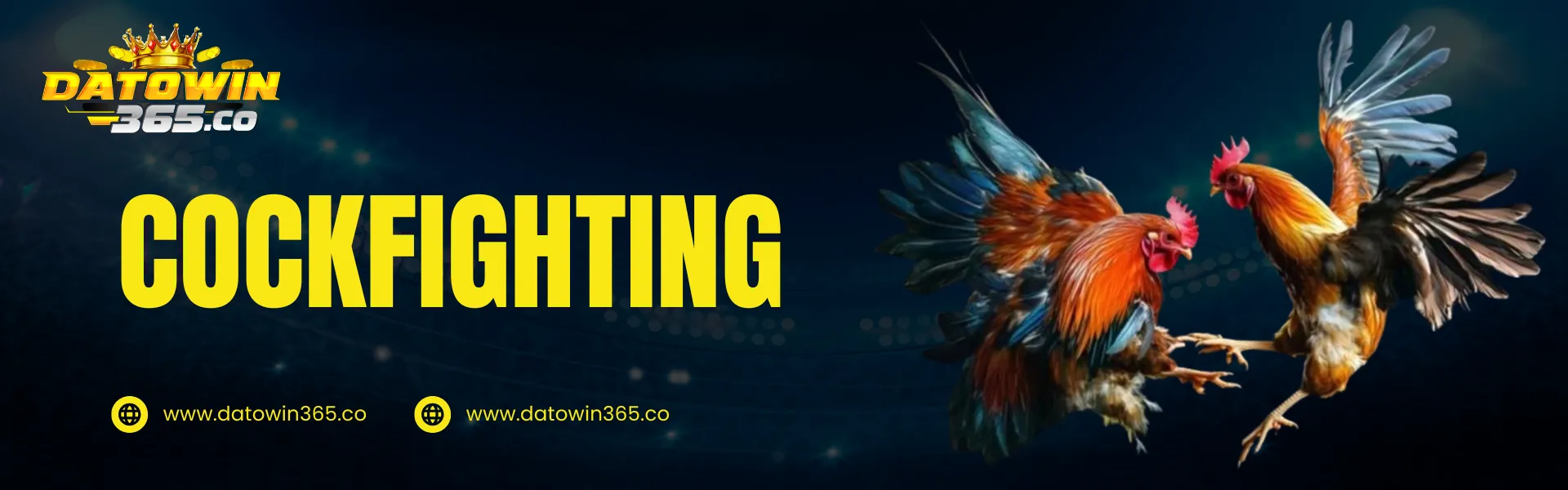 Datowin365 cockfighting banner showing live cockfighting event betting with two roosters in action